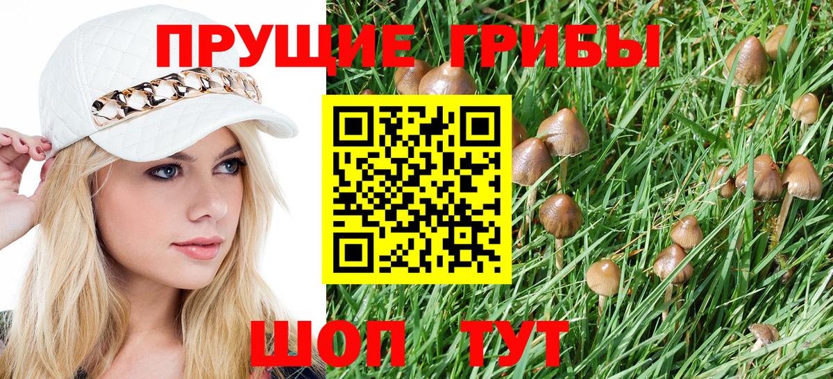 Чебоксары  купить закладку  Вход с VPN  Галлюциногенные грибы GOLDEN TEACHER 